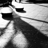 20090823青葉公園4