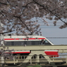 車上の花見