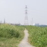 文禄堤の京街道