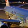 ＪＡＬ　ハピネスエクスプレス　４