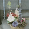 SWEET DAYS 4