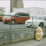 SWEET DAYS 7