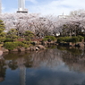 映る