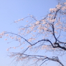 130330_0017