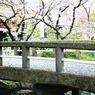 花びら橋