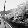 小春日和