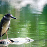 IMG-1463
