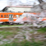 7T3A3381