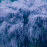 　朧