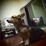 20090824チャー2