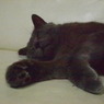 20090824ぐり