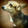 20090824チャー