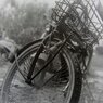 雨に濡れる自転車
