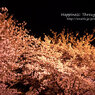 sakuraatnight2013