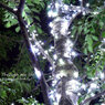 illumination2012winter