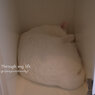 KTheL2012_5