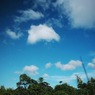 田んぼと青空