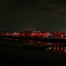 岡山 井原 夜桜