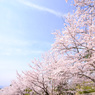 春春春