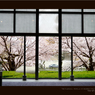 京都「京都国立近代美術館」
