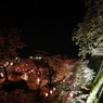 岡山 津山 津山城跡 夜桜