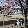 花見
