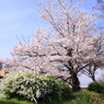 130404_0003