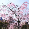 130404_0004
