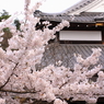 130404_0019