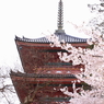 130404_0020