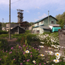 立坑やぐらと道端の花