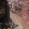 春の小道