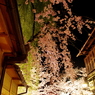 頭上の華