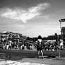 ナツノオモイデ