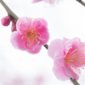 20130303_104302