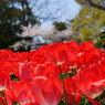 2013.4.3