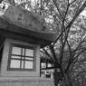 神社