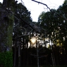 夜が来る。