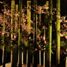 高知城　花回廊　
