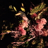 高知城　花回廊