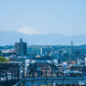 関東の富士見百景