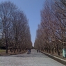 万博公園　iphone