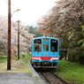 桜咲くローカル駅