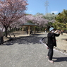 カメラ日和