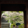 雨中の知恩院