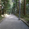 境内への参道