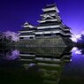 歴史に咲く