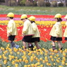 ナランダナランダ