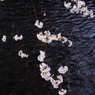 花弁流し