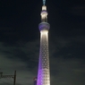 夜景 (29)